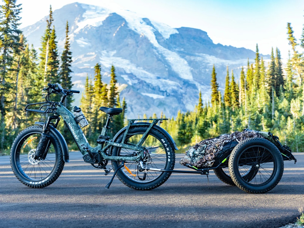 Himiway D5 2.0 Camo E-Bikes